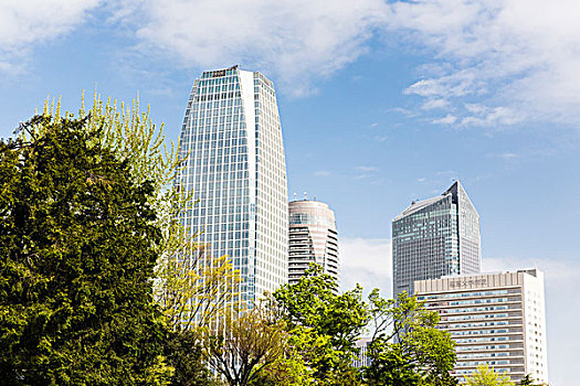 高層建筑,樹(shù),東京港區(qū),東京,日本