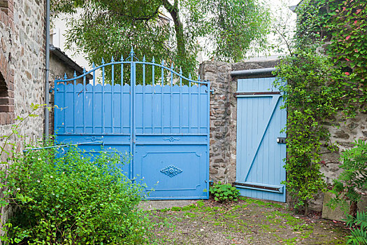 蓝色,金属,大门,后院