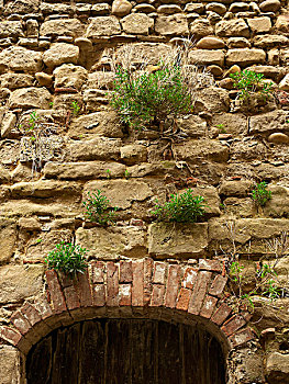绿色植物,越来越多的,石材砖,墙,以上,拱形门口,在,小,中世纪村庄,法国