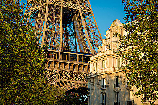 晚间,阳光,埃菲尔铁塔,巴黎,法国