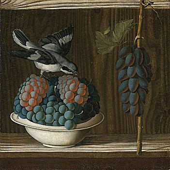 静物,葡萄,灰色,伯劳鸟,象征,描绘