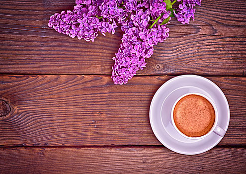 杯子,浓咖啡,咖啡,枝条,紫色,丁香