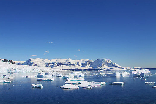 antarctic