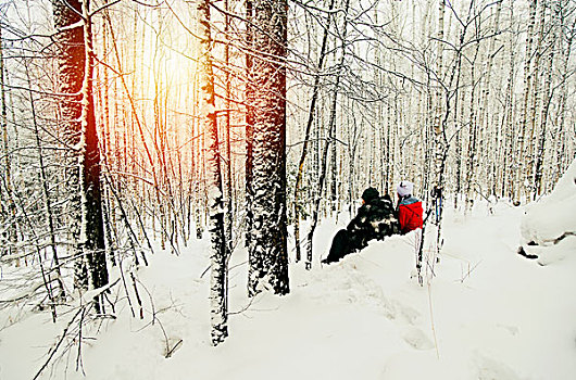 坐,夫妇,雪,树林,看,日落,俄罗斯