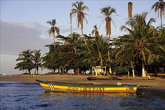 小船,涂绘,雷鬼乐,彩色,热带沙滩,棕榈树,波多黎各,加勒比海,海岸,哥斯达黎加,中美洲