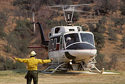 美国,加利福尼亚,火,直升飞机,美洲杉,国王峡谷,国家公园