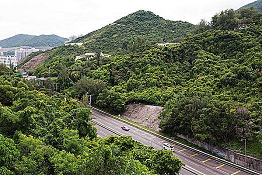 岛屿,东方,走廊,香港