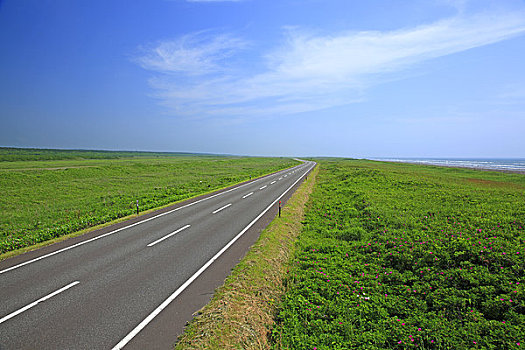 道路,地平线