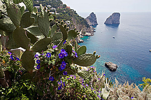 风景,花园,奥古斯都,法拉利尼,石头,南海岸,卡普里岛,那不勒斯湾,坎帕尼亚区,区域,意大利,欧洲