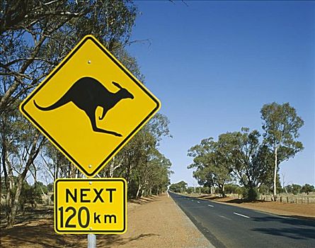 袋鼠,路标,道路,北领地州,澳大利亚