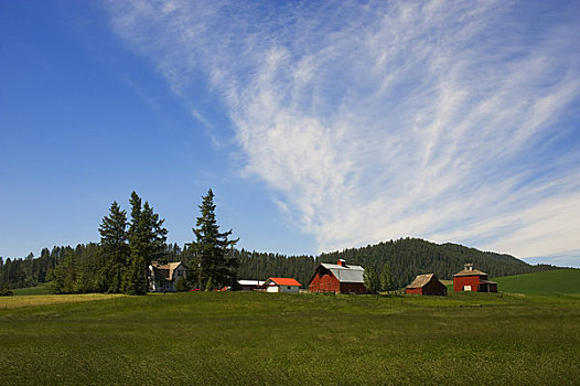 美国,华盛顿,靠近,农场,山岗,背景