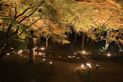 秋季日本京都著名寺庙醍醐寺夜晚红色枫叶与园林景观