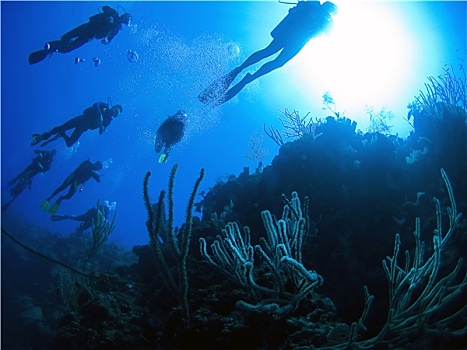 潜水,加勒比