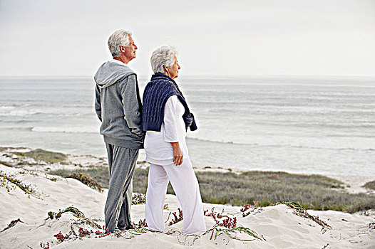 侧面,老年,夫妻,看,海洋