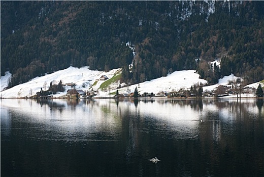 湖,场景,瑞士