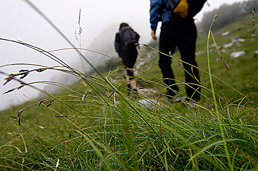 登山,靠近,提洛尔