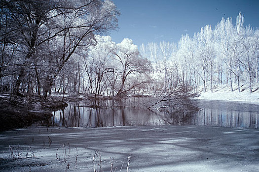 雪景