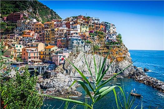 五渔村,意大利,马纳罗拉,彩色,渔民,乡村