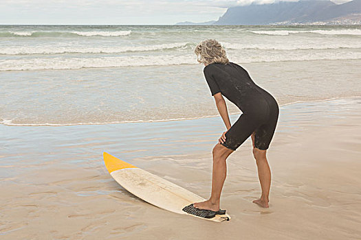 后视图,女人,弯曲,冲浪板,站立,岸边,海滩