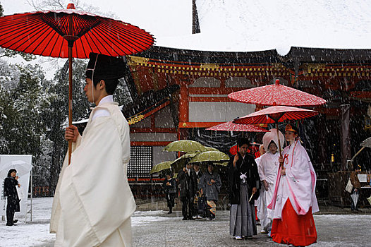日本,京都,神祠,日本神道,雪中,传统,婚宴