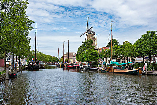 港口,帆船,风车,古达干酪,荷兰