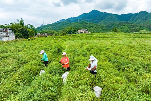 电动控制阀