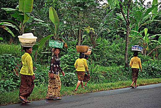 乡村,女人,商品,巴厘岛,印度尼西亚