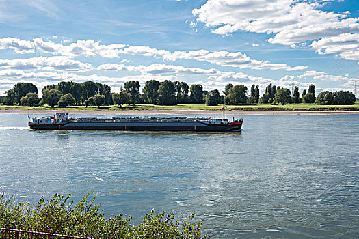 货运,船,莱茵河