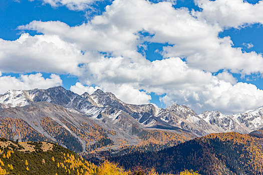 雅拉雪山