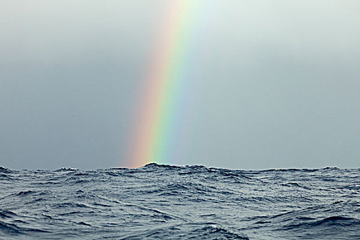 彩虹,大西洋,雨