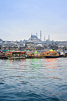 土耳其,酒店,伊斯坦布尔,雷曼尼亚清真寺,最大的,清真寺,在城市,观,金喇叭