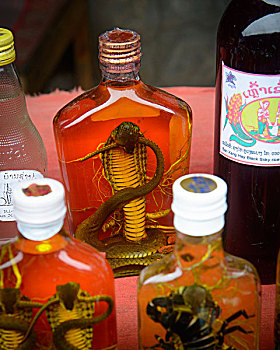 老挝,琅勃拉邦,眼镜蛇,威士忌