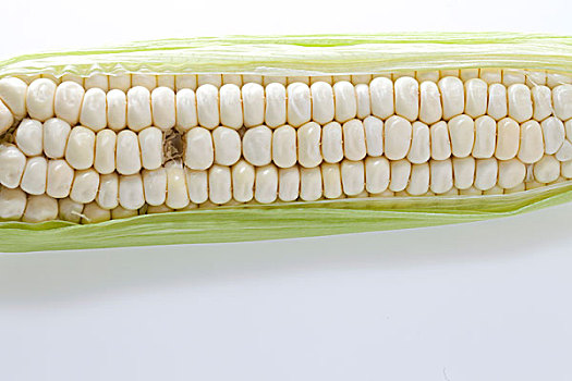 转基因,玉米