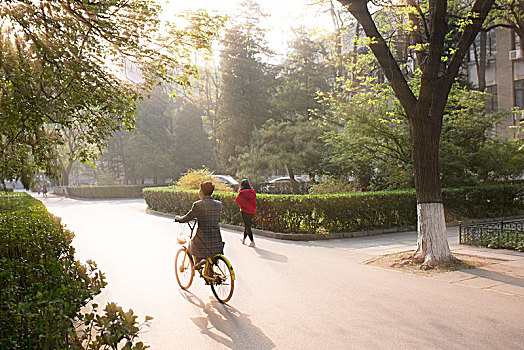 北京大学