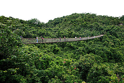 海南,三亚,亚龙湾热带天堂森林旅游区,亚龙湾热带天堂森林公园,过江龙索桥