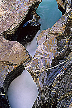 石头,踢,马,河,幽鹤国家公园,不列颠哥伦比亚省,加拿大