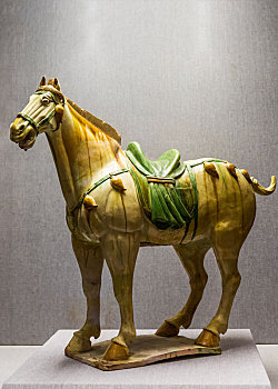 唐代三彩白釉马,河南省洛阳博物馆馆藏文物