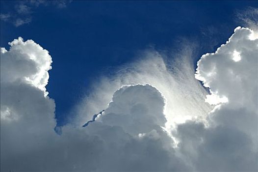 高耸,云,仰视,蓝天,柬埔寨