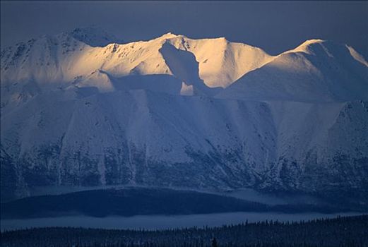 积雪,顶峰,阿拉斯加山脉,冬天,阿拉斯加