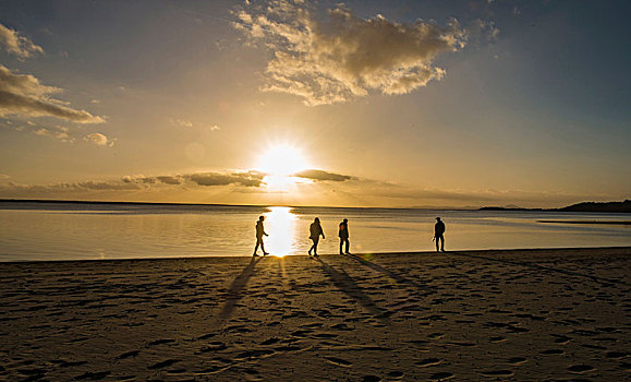 四个人,剪影,沙滩漫步,日落