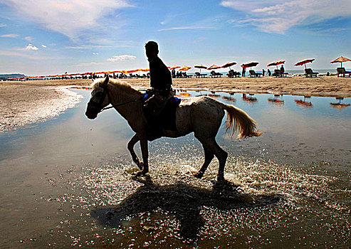 马,罐,租赁,市场,海滩,骑,孟加拉,十一月,2008年