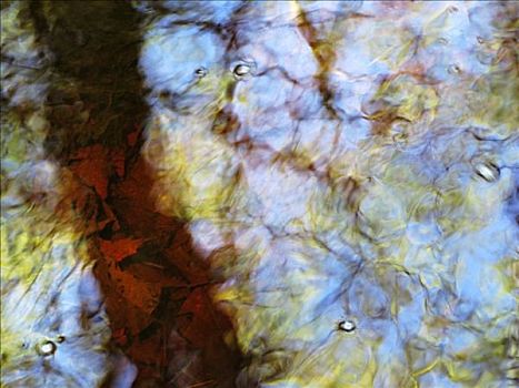 水,抽象,马萨诸塞,野生动植物保护区,波纹,反射,水上,表面
