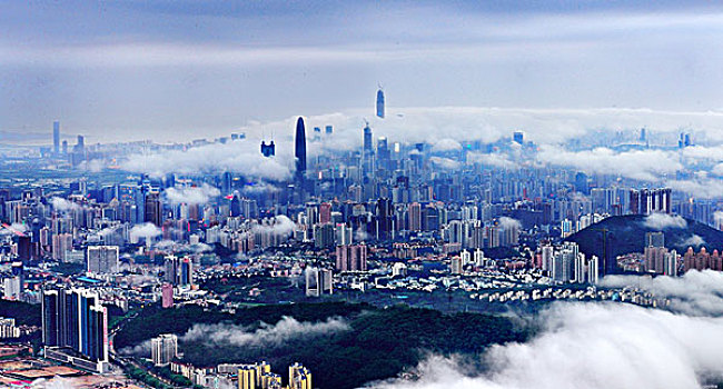 高楼,蓝天,深圳全景,都市,深圳风光,城市景观,云雾