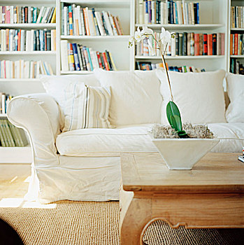 白色,沙发,木质,茶几,正面,书架