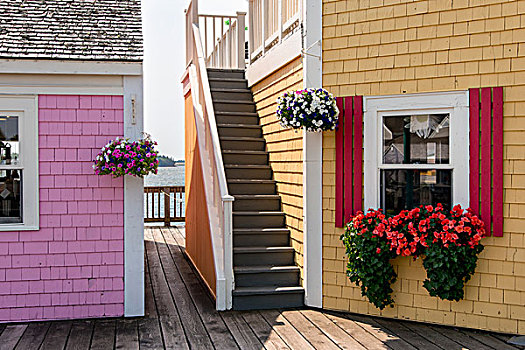 花,悬挂,彩色,建筑,爱德华王子岛,加拿大