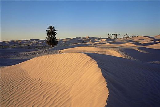 撒哈拉沙漠,杜兹,南方,突尼斯