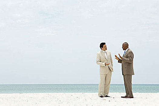两个,商务人士,站立,海滩,交谈