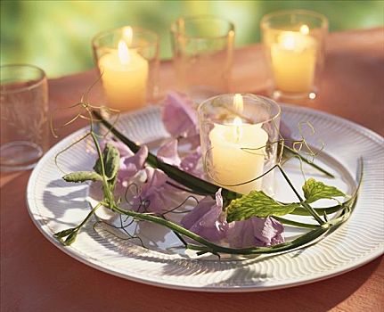 盘子,蜡烛,麝香豌豆花