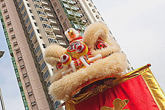 狮子,跳舞,庆贺,春节,香港
