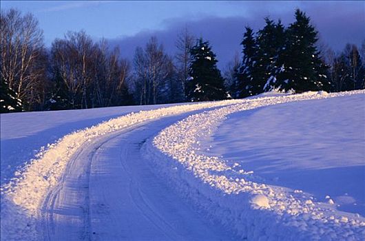 乡间小路,冬天,悬崖,新布兰斯维克,加拿大